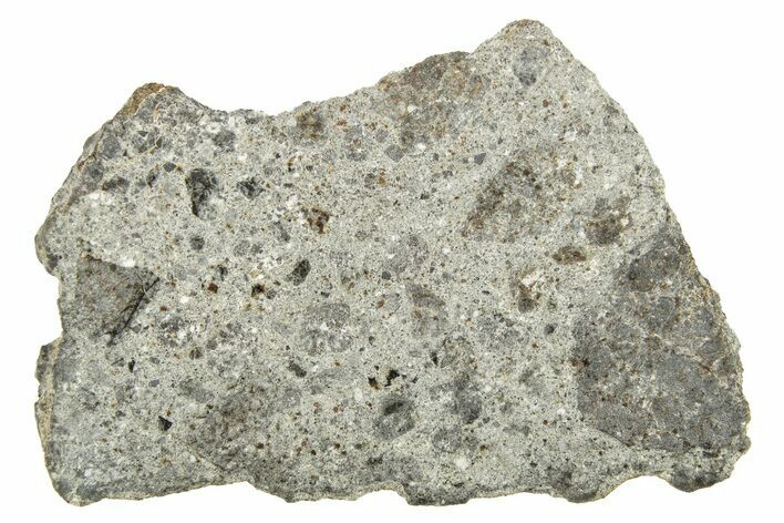 Howardite Meteorite ( g) Slice - From Vesta Minor-Planet #263243